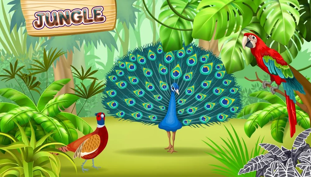 Bird Names in English