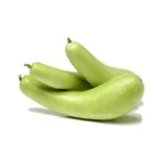 lauki-in-english-name-bottle-gourd