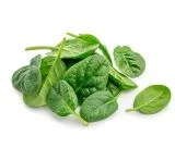 palakura-in-english-spinach